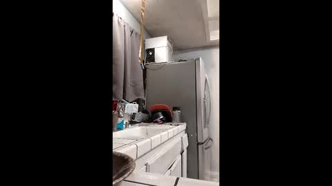 Snapshot of sophia1lux chatting on 15, 12, 2025 sophia1lux online show from 15, 12, 2025