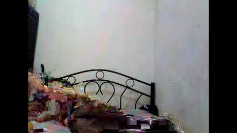 sophialaurel online show from 1, 10, 2025