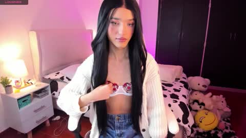    online show from 14, 12, 2025