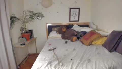 SofiTrans21 online show from 24, 11, 2025