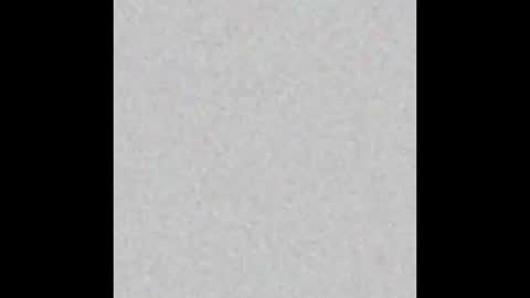 Sophie  Next stream  3 online show from 1, 3, 2026