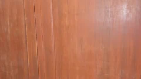 Snapshot of sophiia88 chatting on 18, 2, 2026 Shopiia88 online show from 18, 2, 2026