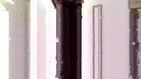 Sorfo online show from 15, 1, 2026