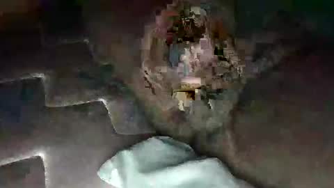 Snapshot of source1012 chatting on 11, 1, 2025 source1012 online show from 11, 1, 2025