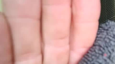 sowbilbao1 online show from 5, 4, 2026