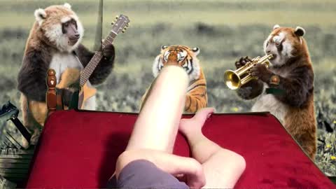 Snapshot of soymigo chatting on 11, 2, 2026 soymigo online show from 11, 2, 2026