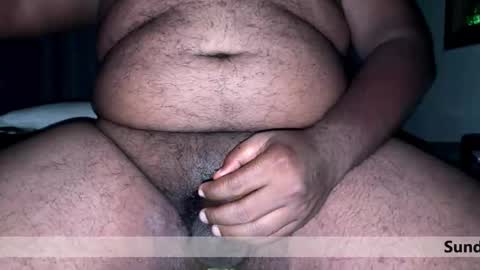 space Dog25 online show from 15, 3, 2026