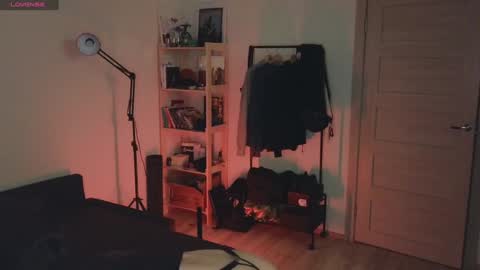 Snapshot of space_x_roxy chatting on 20, 12, 2024 Roxy online show from 20, 12, 2024