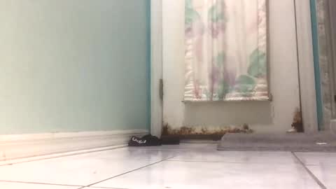 speedforbenji19 online show from 12, 3, 2025