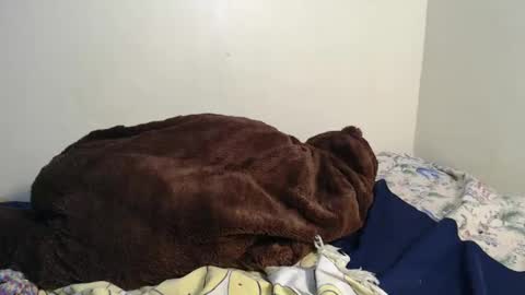 dela online show from 2, 2, 2025