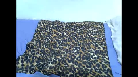 Snapshot of spicy_kittie chatting on 16, 11, 2025 Kittle online show from 16, 11, 2025