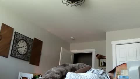 sportfish online show from 4, 4, 2026