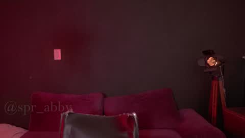 Snapshot of spr_abby chatting on 8, 12, 2024 Abby online show from 8, 12, 2024