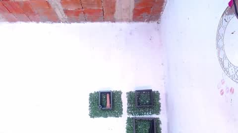 valeria online show from 13, 1, 2025