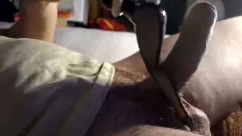 Snapshot of srb543 chatting on 16, 12, 2025 srb543 online show from 16, 12, 2025