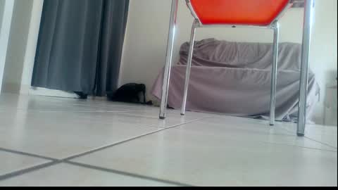 ssenzo online show from 21, 12, 2025