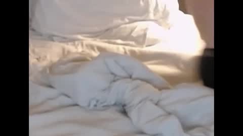 Snapshot of st8llion chatting on 27, 2, 2025 st8llion online show from 27, 2, 2025