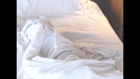 st8llion online show from 6, 3, 2026