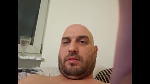 sta13 online show from 12, 12, 2024