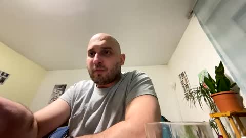 sta13 online show from 2, 4, 2026