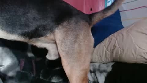 Snapshot of stacisavige chatting on 2, 4, 2026 Sinserity online show from 2, 4, 2026