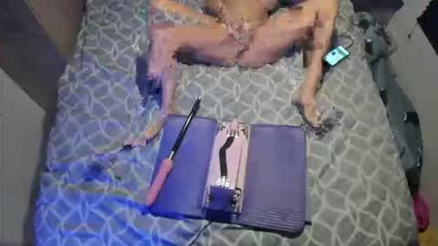 staciwilde online show from 5, 4, 2026