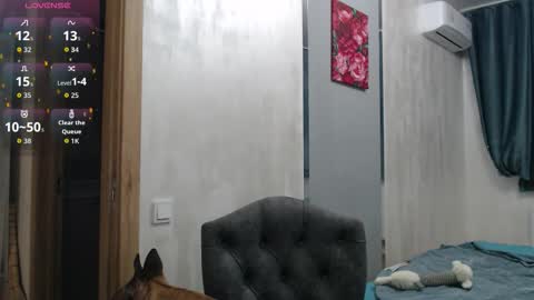 STACY online show from 27, 11, 2025