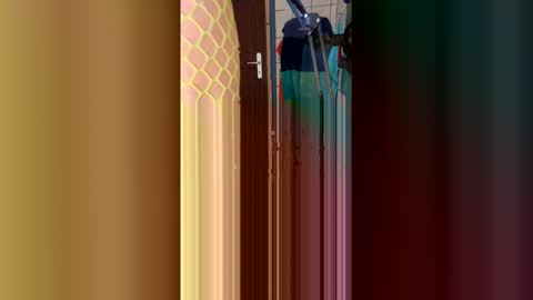 Snapshot of stambo0704987834 chatting on 17, 1, 2026 stambo0704987834 online show from 17, 1, 2026