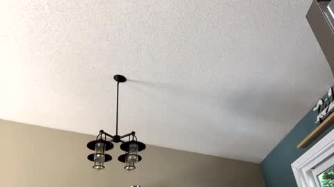 Snapshot of steakman007 chatting on 23, 2, 2025 Steakman online show from 23, 2, 2025