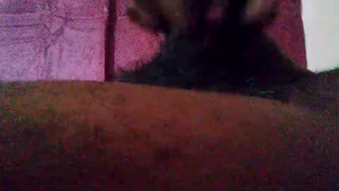 Snapshot of stebel666185 chatting on 22, 9, 2025 stebel666185 online show from 22, 9, 2025