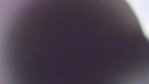 Snapshot of stefano_calle chatting on 3, 12, 2025 Stefano online show from 3, 12, 2025