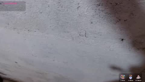 stefany_pablo1 online show from 1, 11, 2025