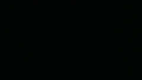 Snapshot of steflab chatting on 24, 2, 2026 steflab online show from 24, 2, 2026