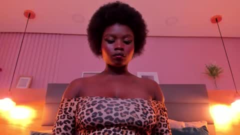 STELA online show from 3, 11, 2025