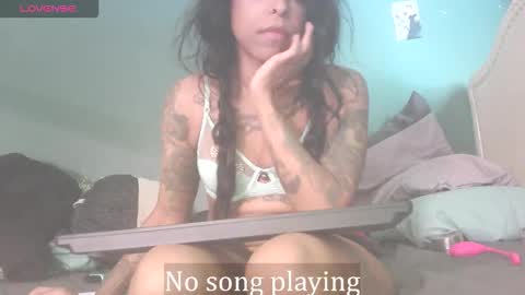 Stella Clitella online show from 22, 11, 2025