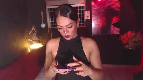 stella online show from 11, 11, 2025