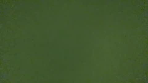 stensurfarn online show from 21, 3, 2026