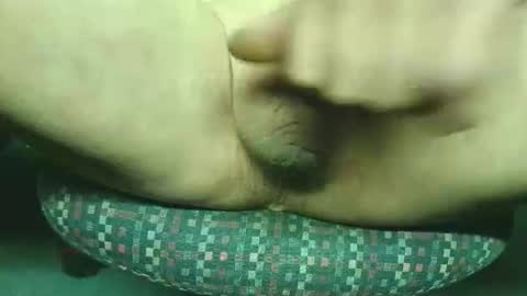 steri8888 online show from 24, 11, 2025