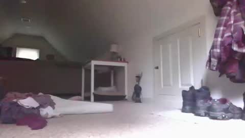 Snapshot of stevedevinrachel chatting on 13, 10, 2025 steve online show from 13, 10, 2025