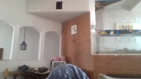 Snapshot of stevenson988 chatting on 26, 12, 2024 stevenson988 online show from 26, 12, 2024