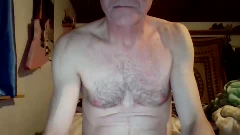 steviehard7 online show from 8, 3, 2025