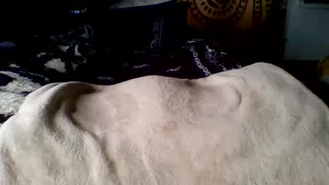 steviehard7 online show from 12, 3, 2025