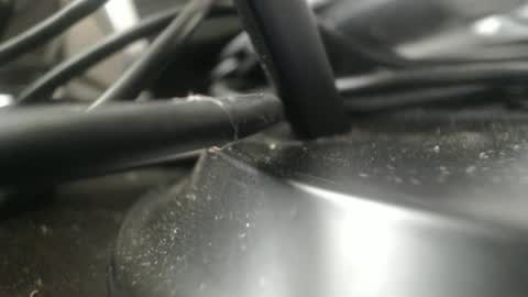 Snapshot of stewpididiot chatting on 11, 9, 2025 Stew Pididiot online show from 11, 9, 2025