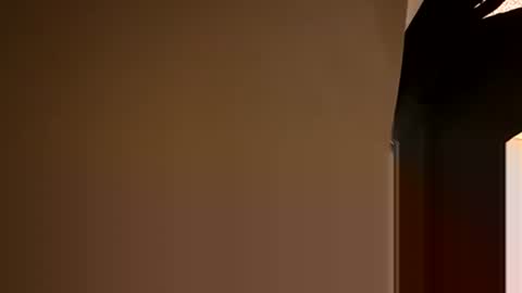 Snapshot of stokely571996 chatting on 5, 12, 2024 Oval2022 online show from 5, 12, 2024