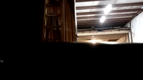 Snapshot of stokely571996 chatting on 16, 12, 2024 Oval2022 online show from 16, 12, 2024