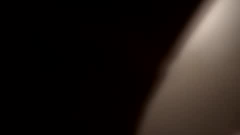 Snapshot of stokely571996 chatting on 21, 12, 2024 Oval2022 online show from 21, 12, 2024