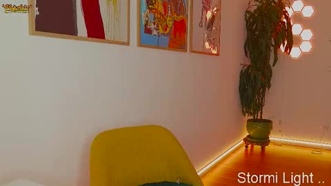 Snapshot of stormi_light chatting on 5, 2, 2026 Stormi online show from 5, 2, 2026