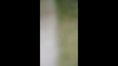 taira altair maturana online show from 29, 3, 2026