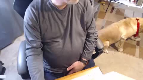 Stormy6569 online show from 14, 3, 2026