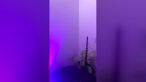 straight_boys_hornys online show from 20, 12, 2025